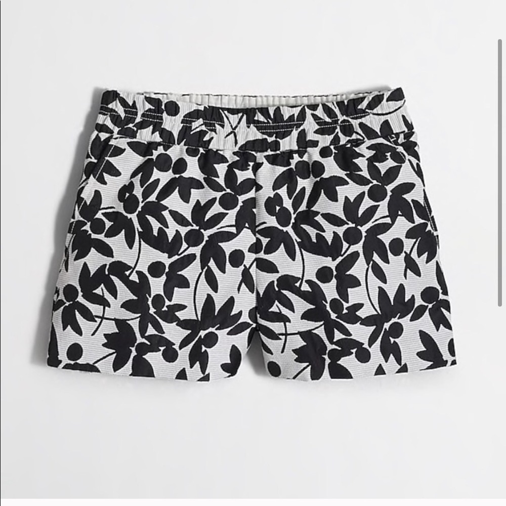 J Crew Boardwalk Shorts